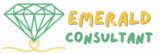 AMERALD CONSULTANTS LTD